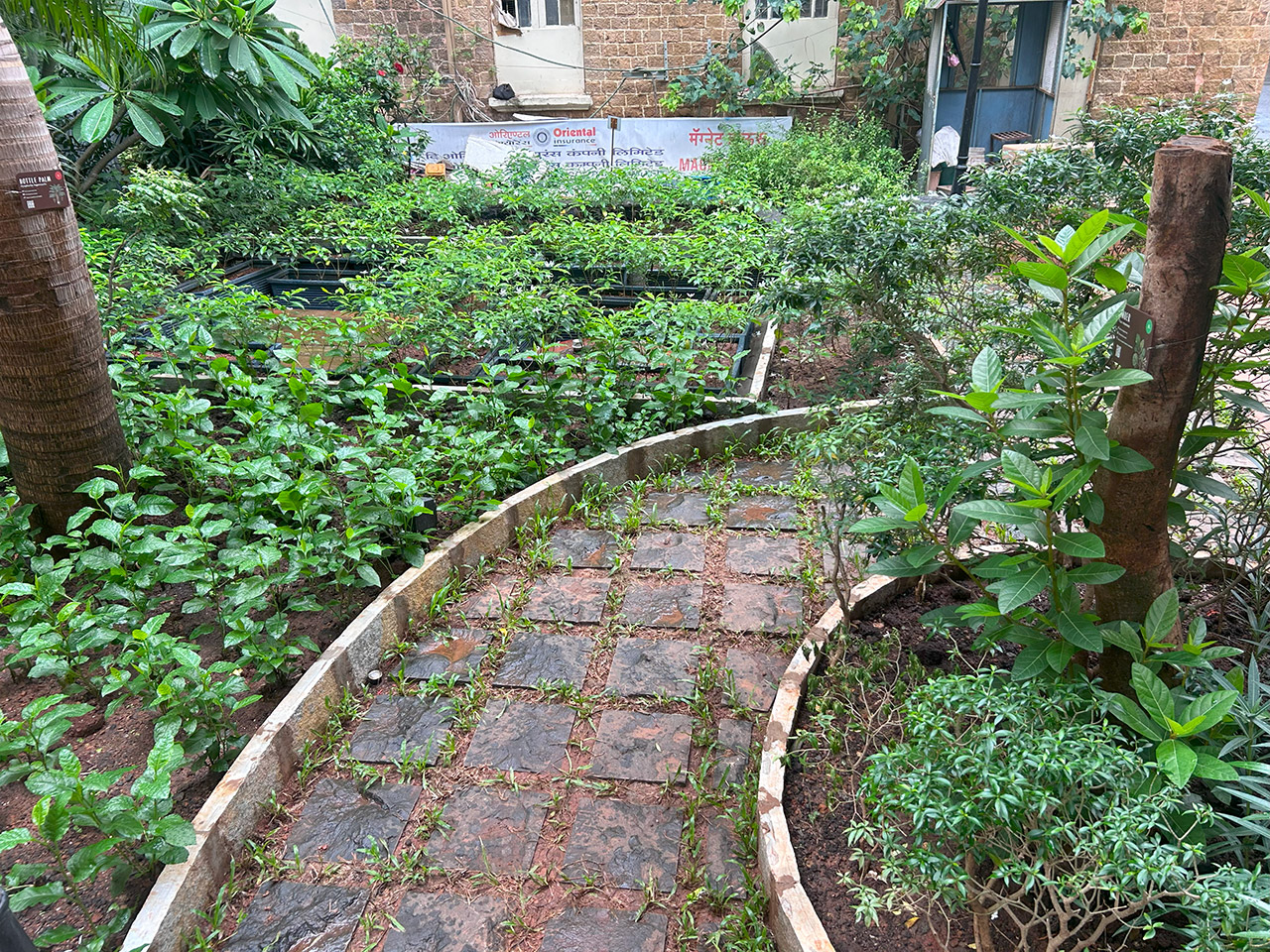 THP_Green-Corridor_Gallery_01